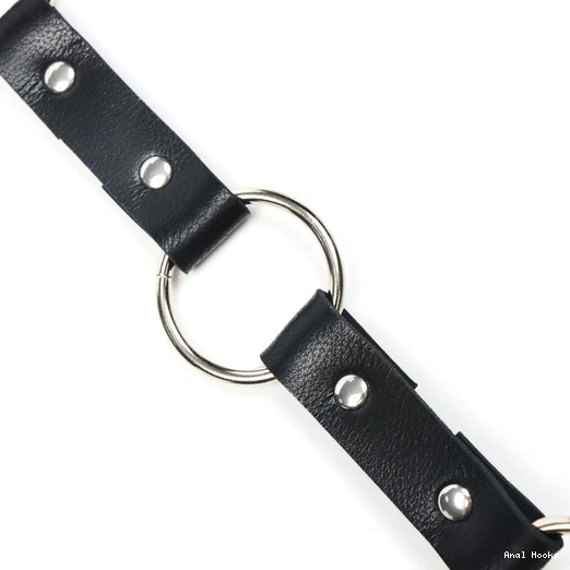 Anal Hooks Anal 5853 with Leash Hook EverydayUse Collar Kinky and 0802